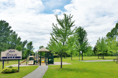 green grass, trees and playground
